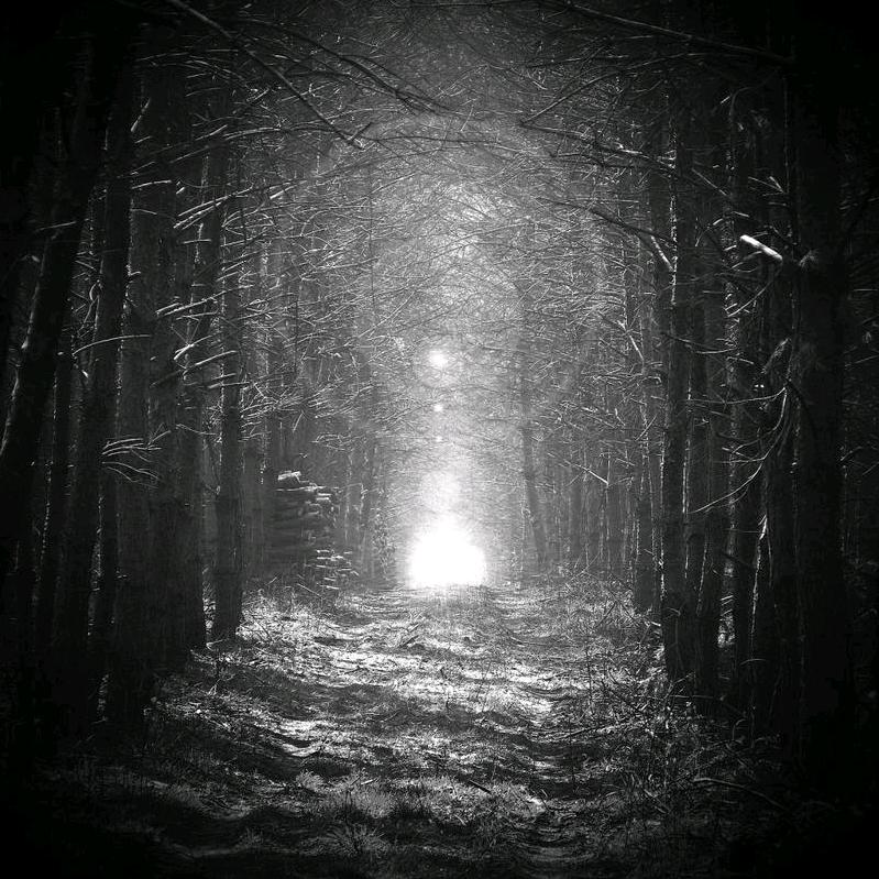 不思量，自难忘