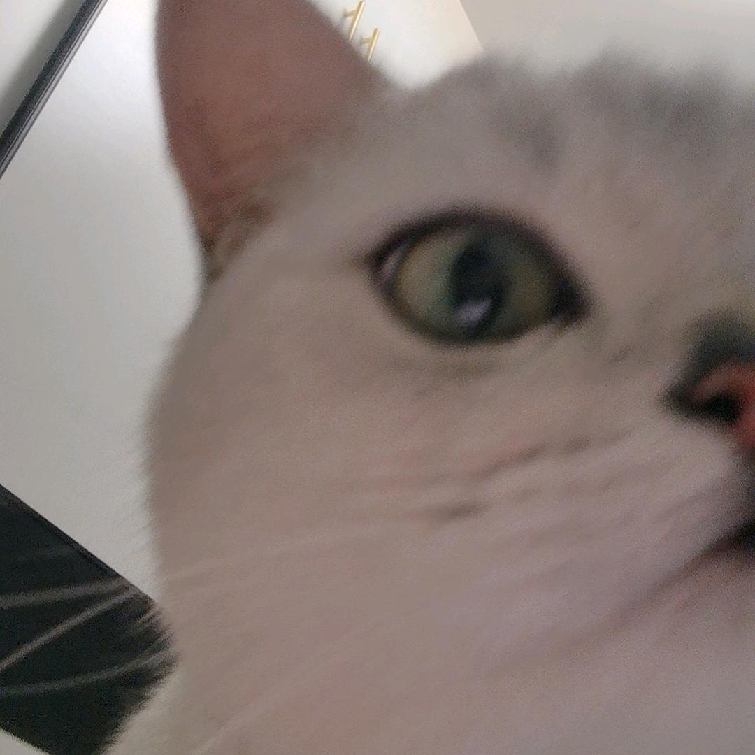 不热