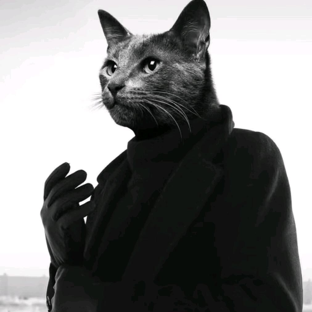 懒猫（巢音世代）