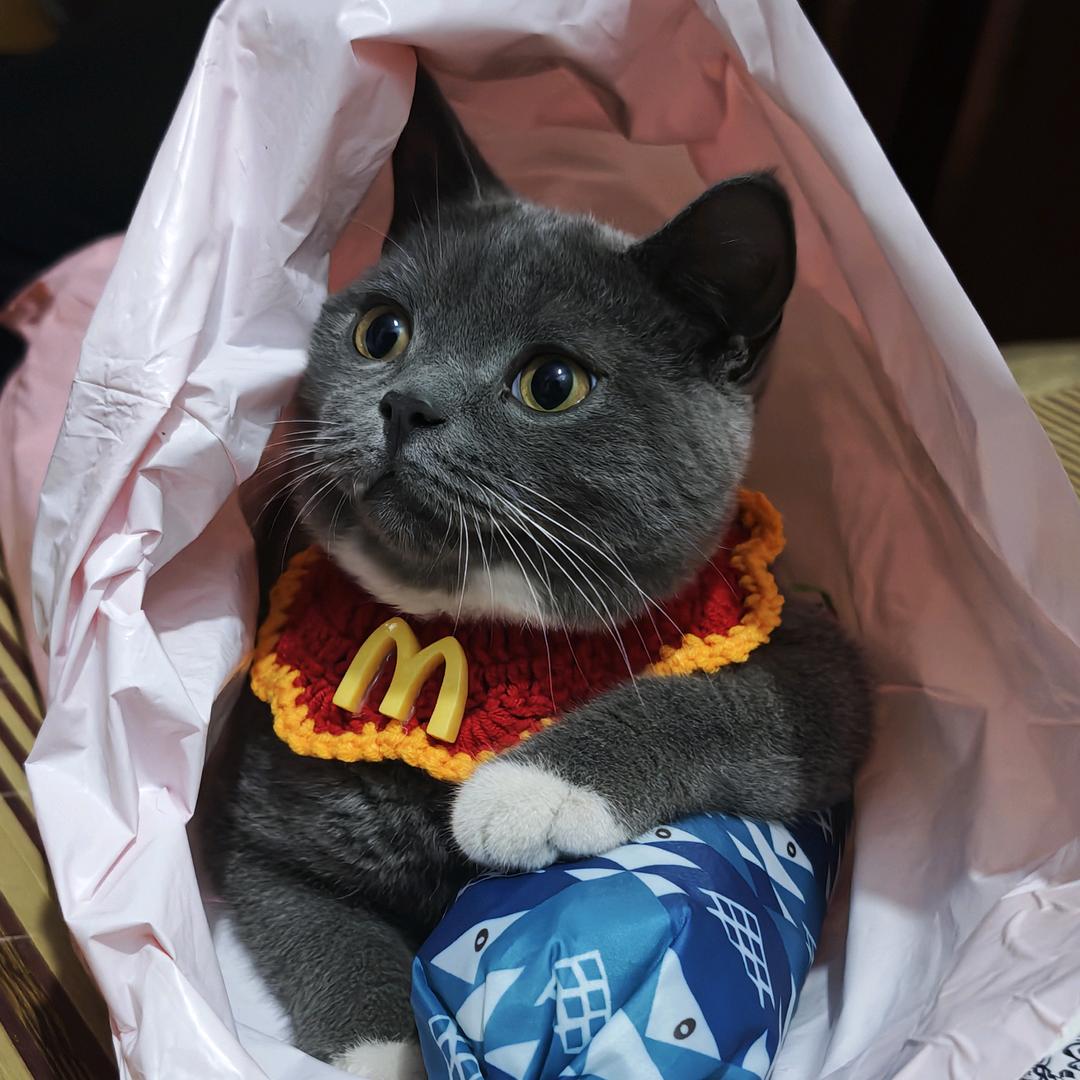 斯哈斯哈
