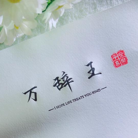 重庆万辞王（教育咨询）