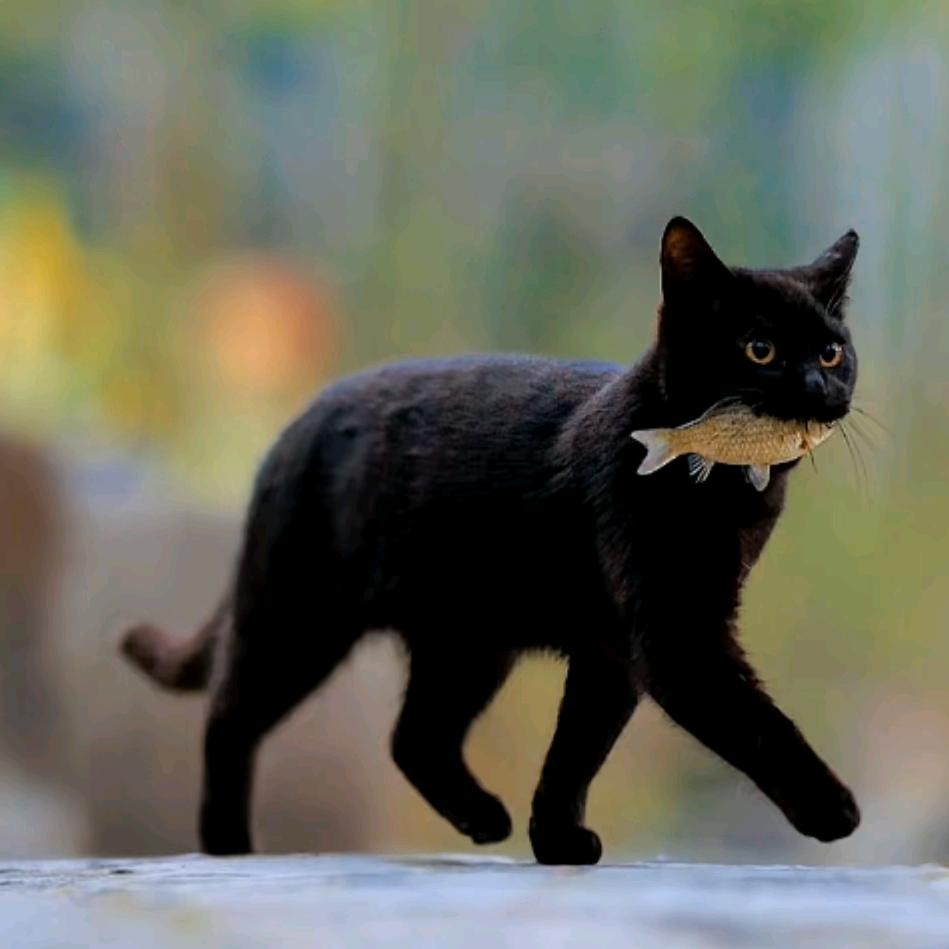 长治无缝墙布  张