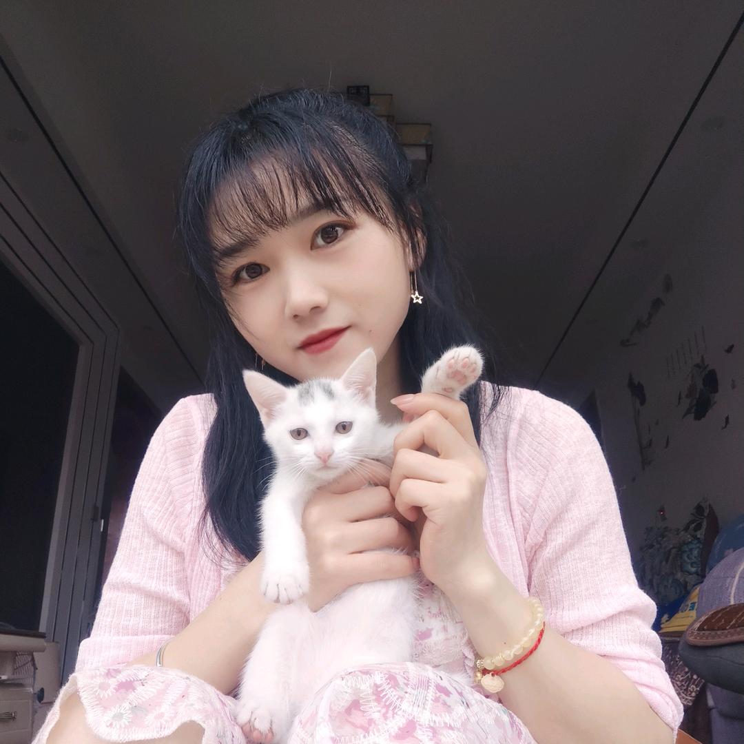 九命猫