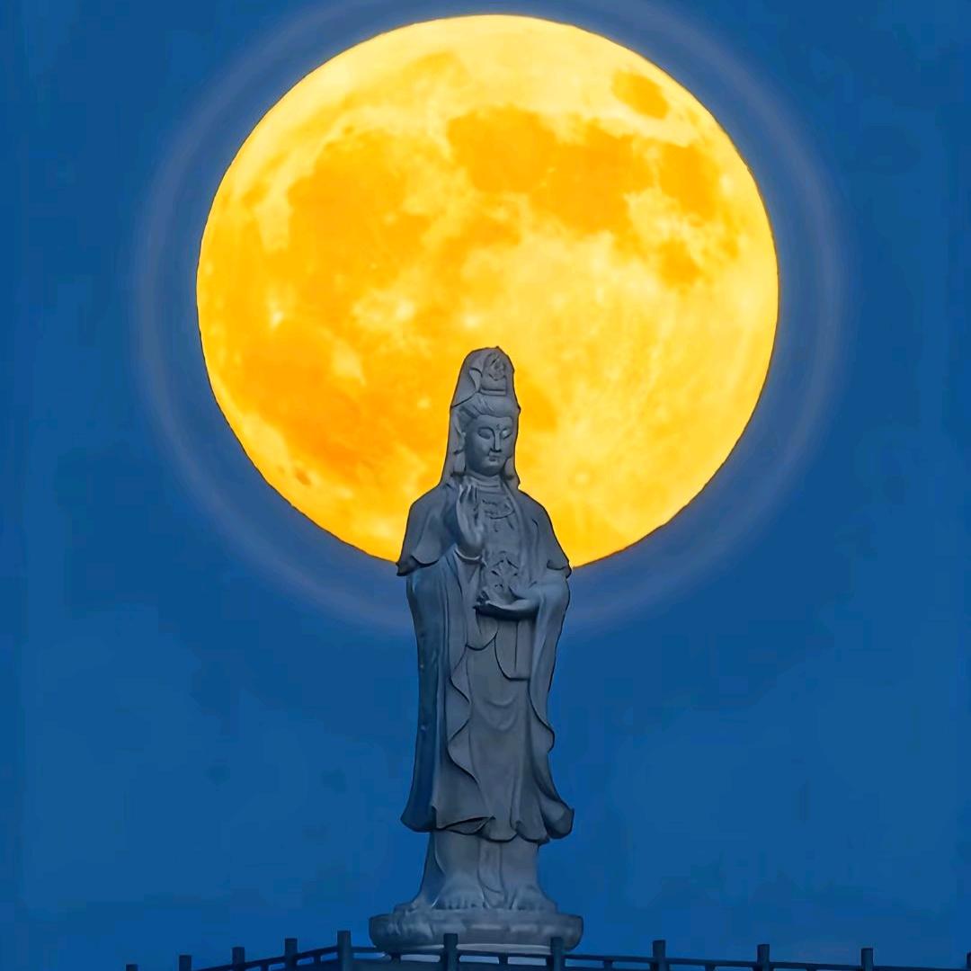 靠岸环球（HN）