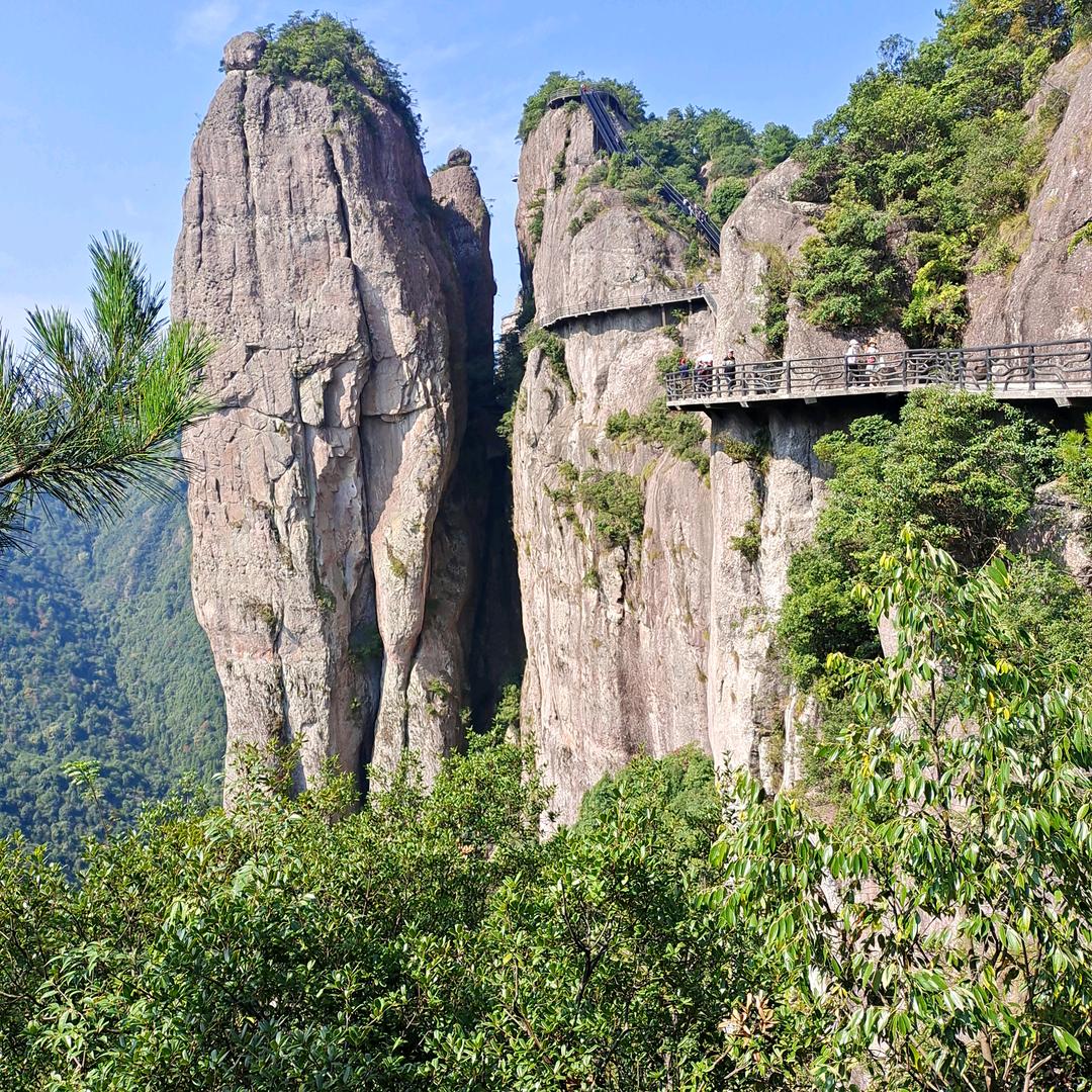 东山再起