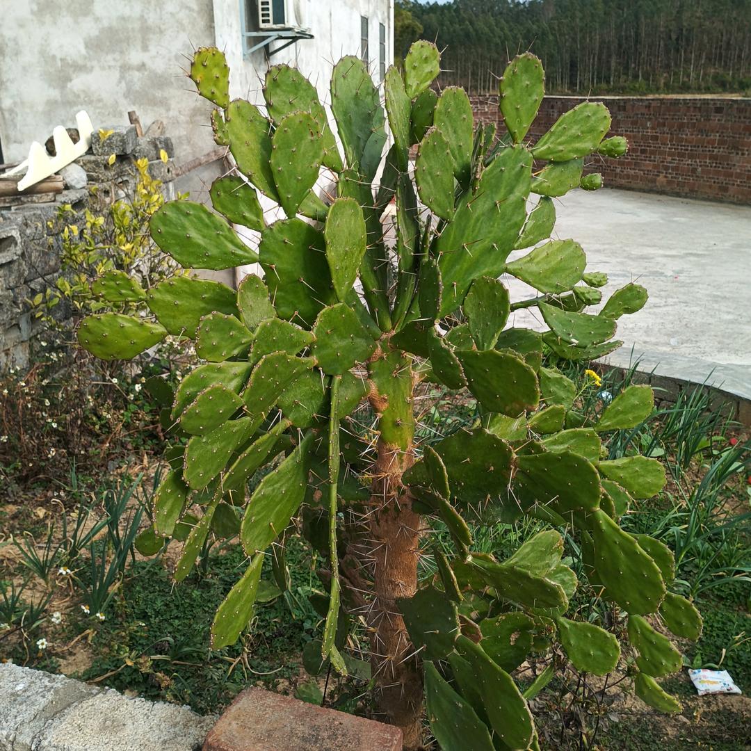 孤独飘零的灵魂💔