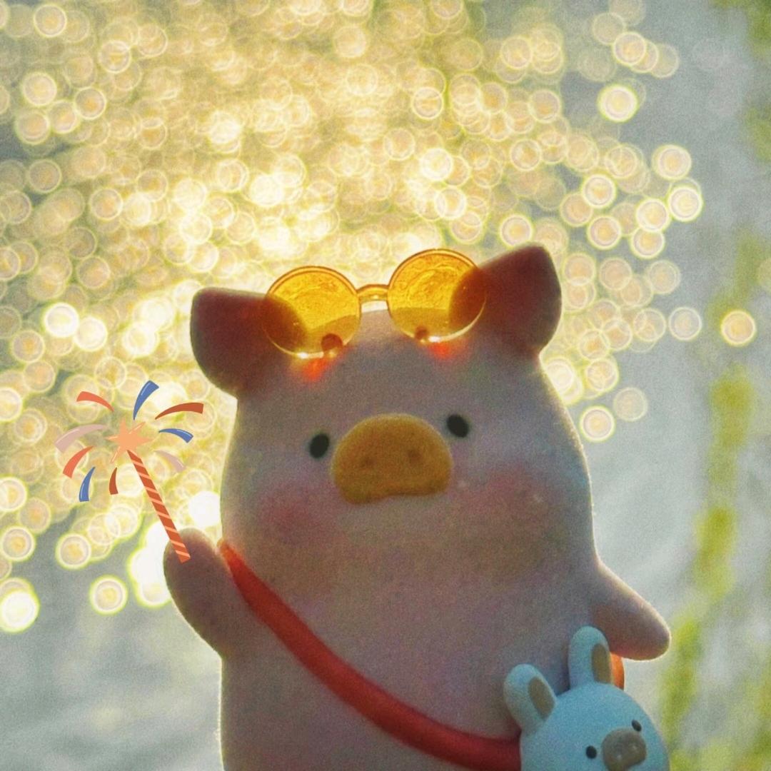 聪明努力又可爱的小猪🌙