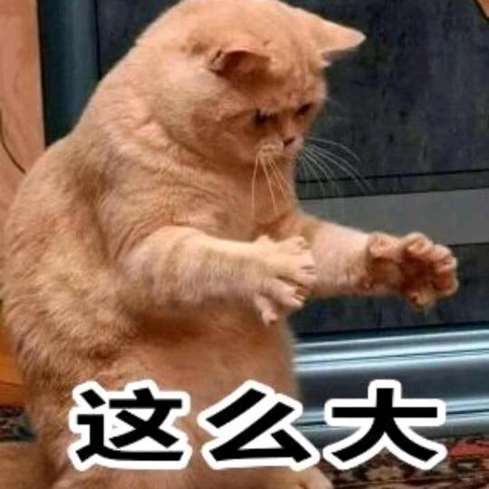 沉睡千年