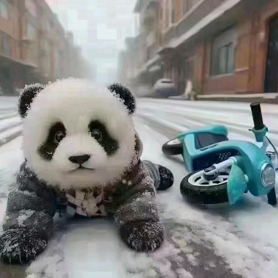 🐻花明楼的九尾狐🦊