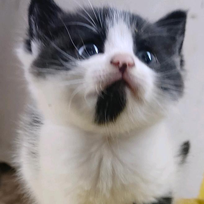 谁又了解谁的脱离