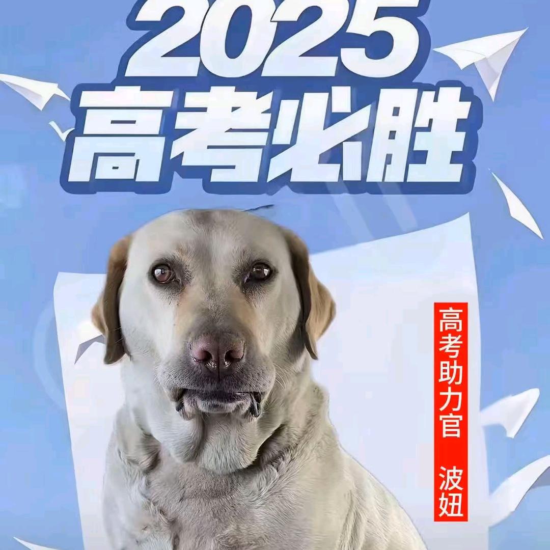 正恩⚜️