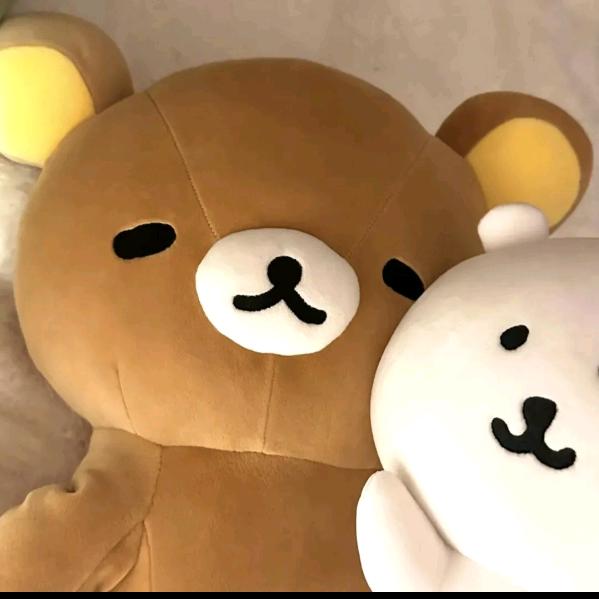 站立的回锅肉…