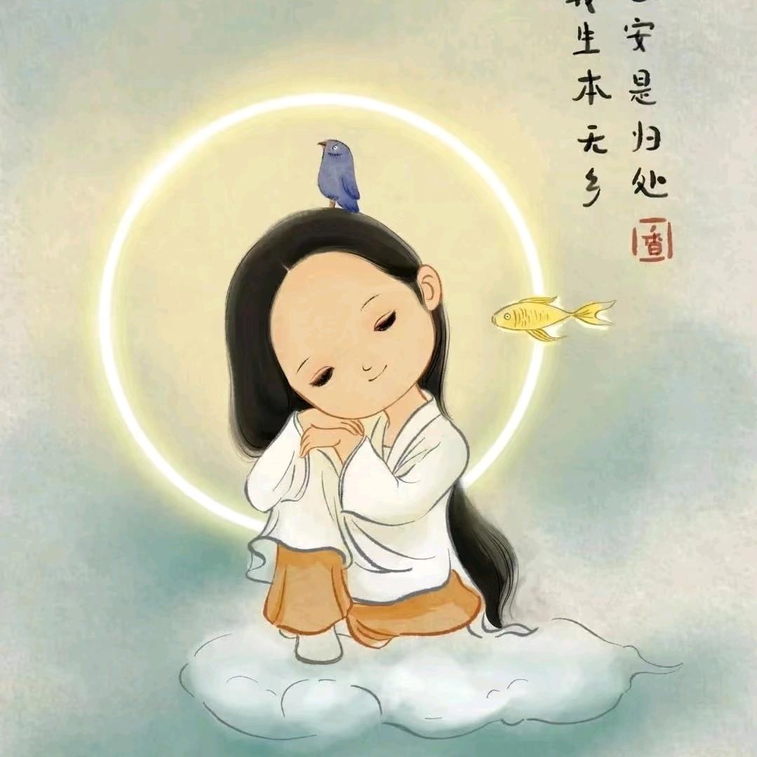 昭昭如愿吖☘️