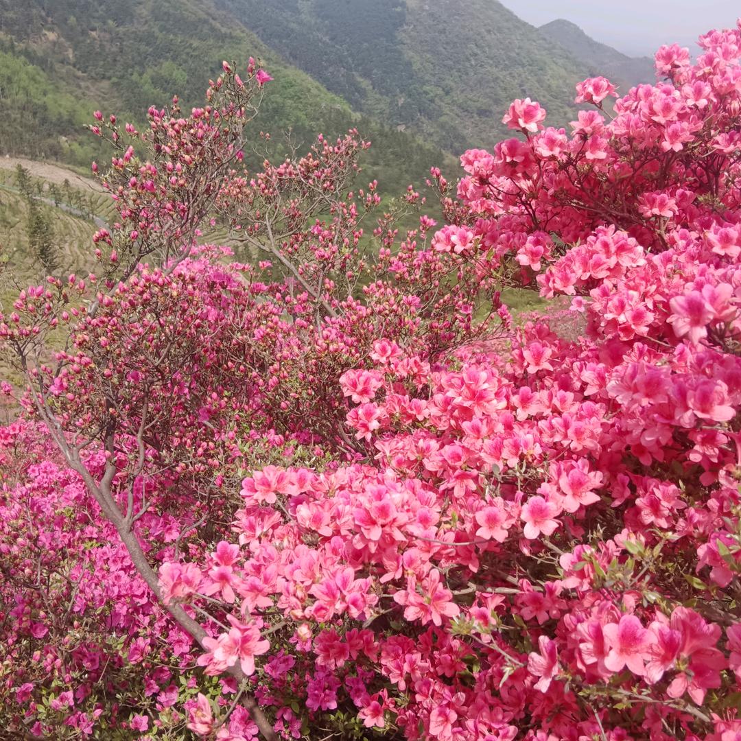 雨中漫步