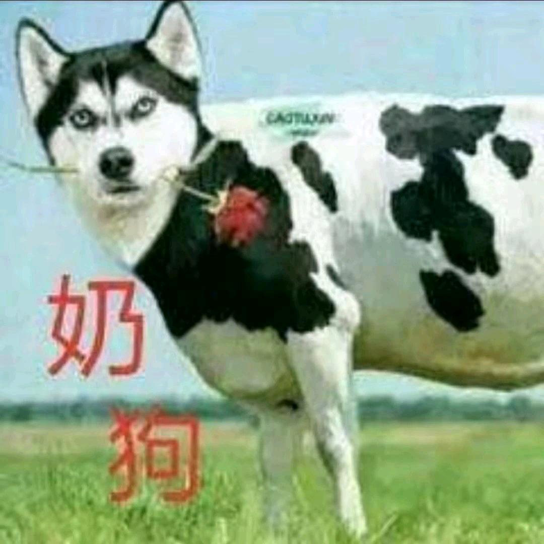 璃