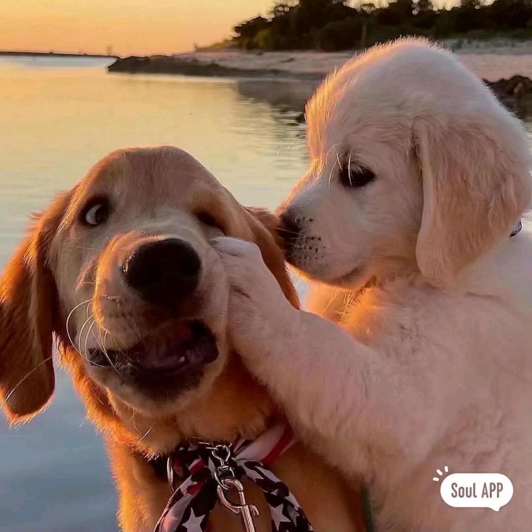 坦荡！我就是我