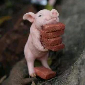 不点关注不迷路