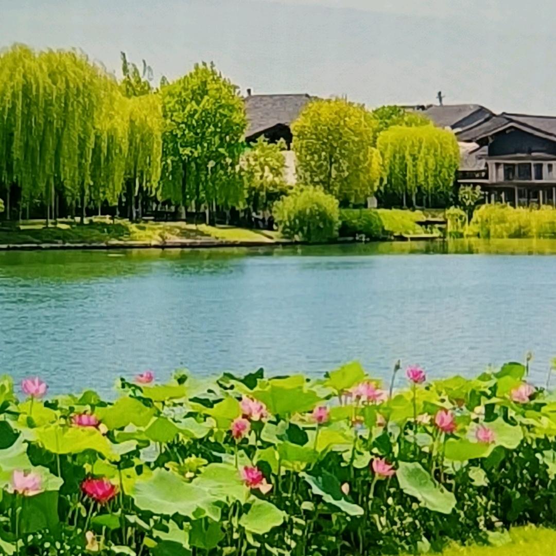 木格阁女装