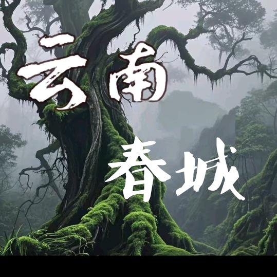 ꧁💖꫞꯭🌺雁꫞💖꧂