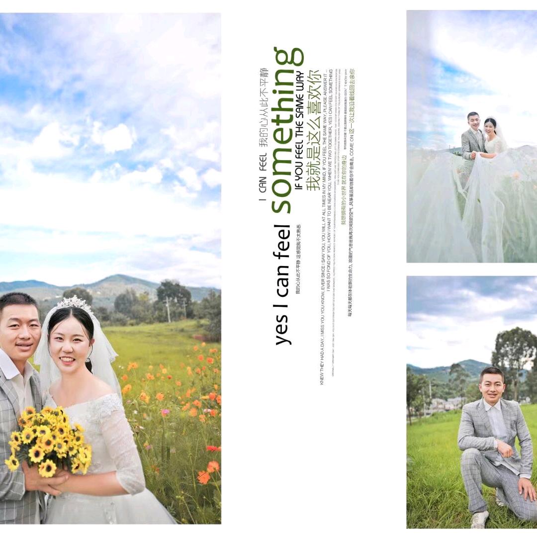 四叶草🍀☘️🌿🌵