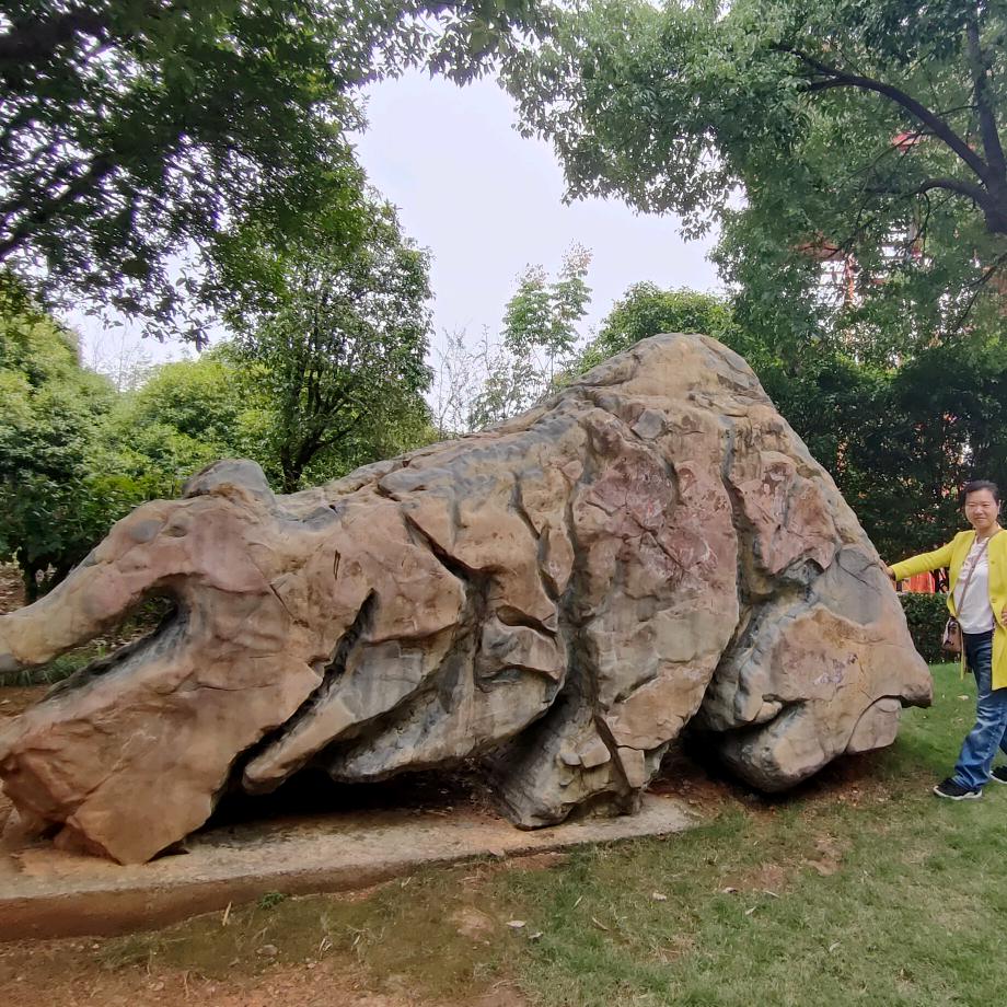 与爱同行