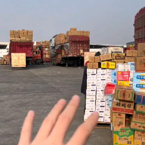 小杨总