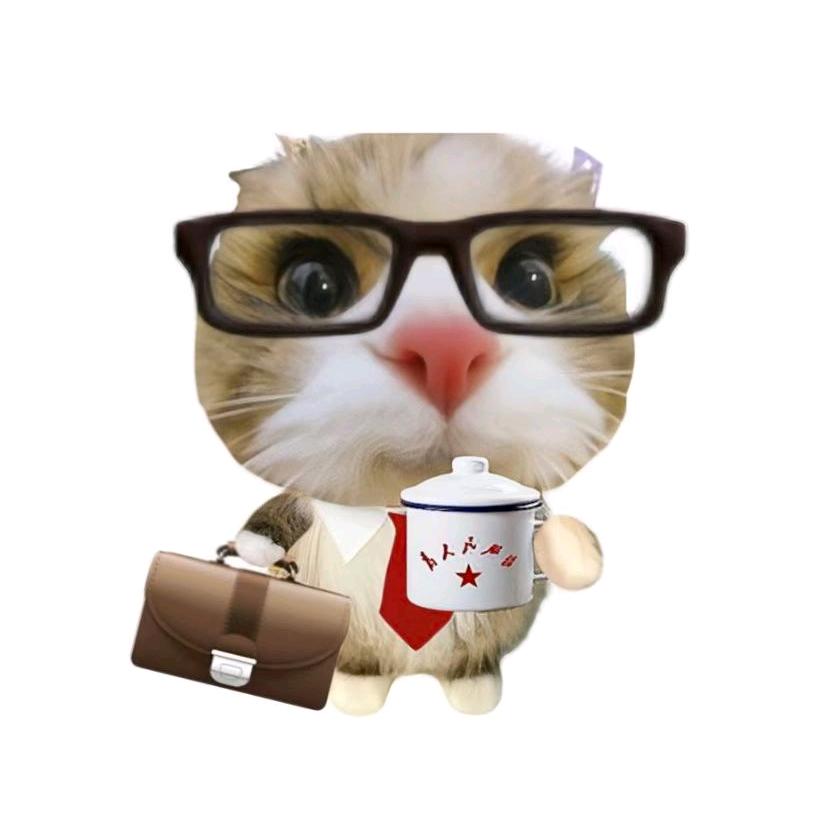 喵星驻地球办主任