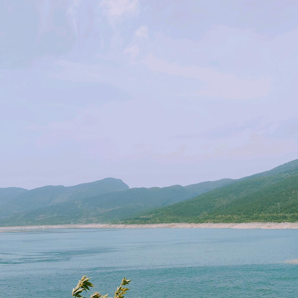 火红园艺