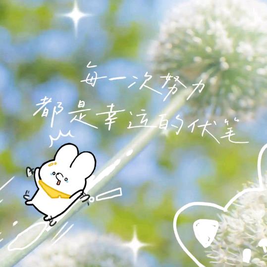 QC计划升哥（连麦版）