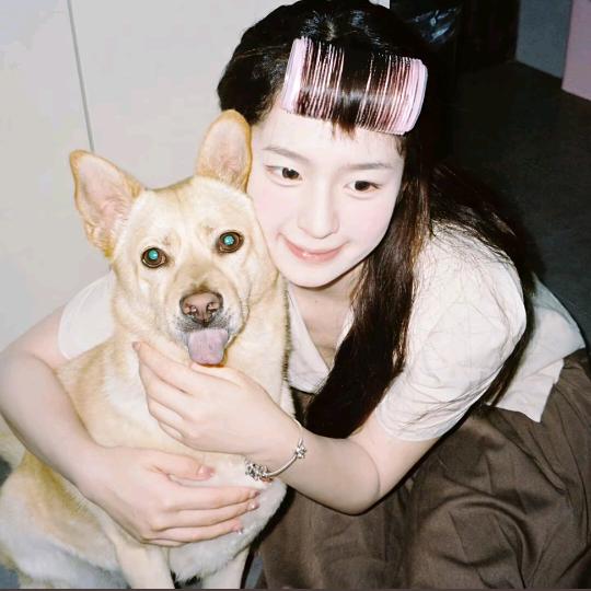 高级地蛋仔