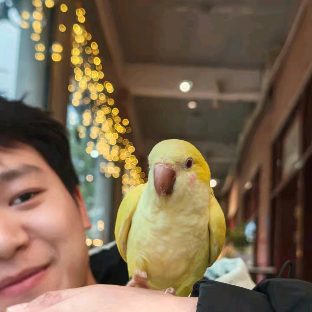 沙滩上的阳光啊