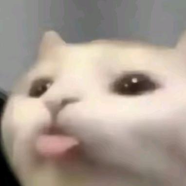 小小天