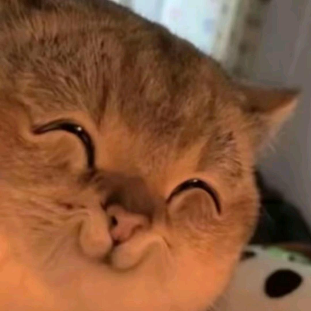 阿扬