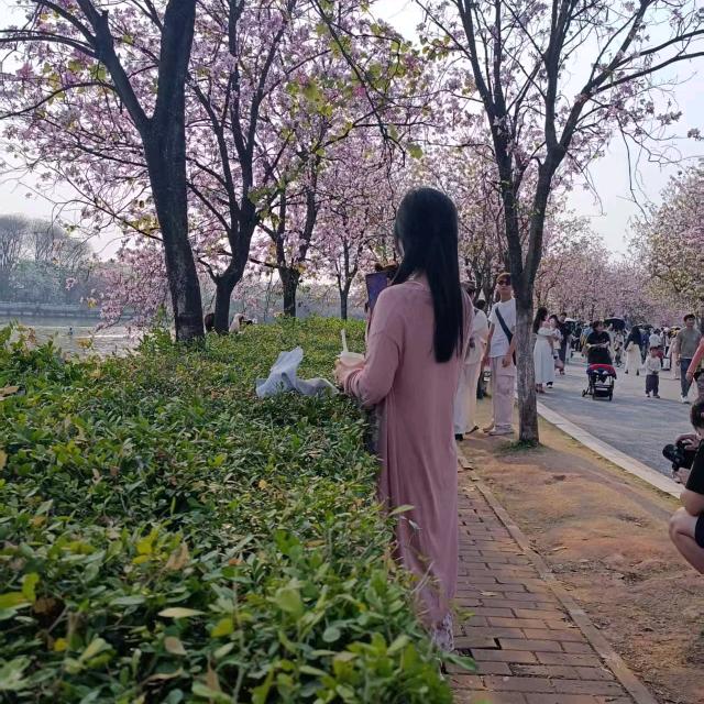 沧海一粟、