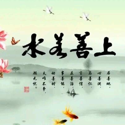 陈总（善行天下）