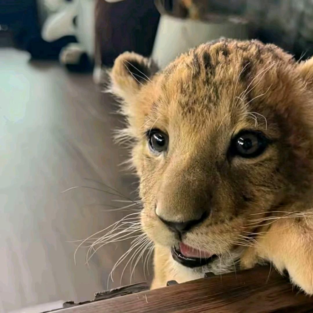 取个什么名字好呢