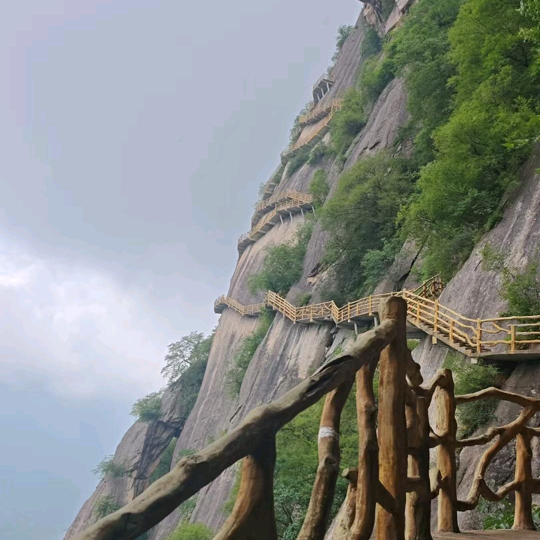 终南庐主
