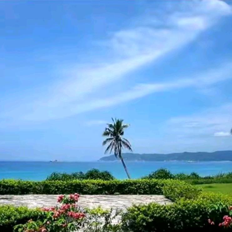 如果没有如果