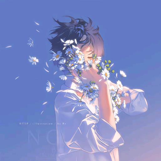 菊花无泪🌸