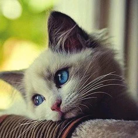 永生难忘2022 3 18