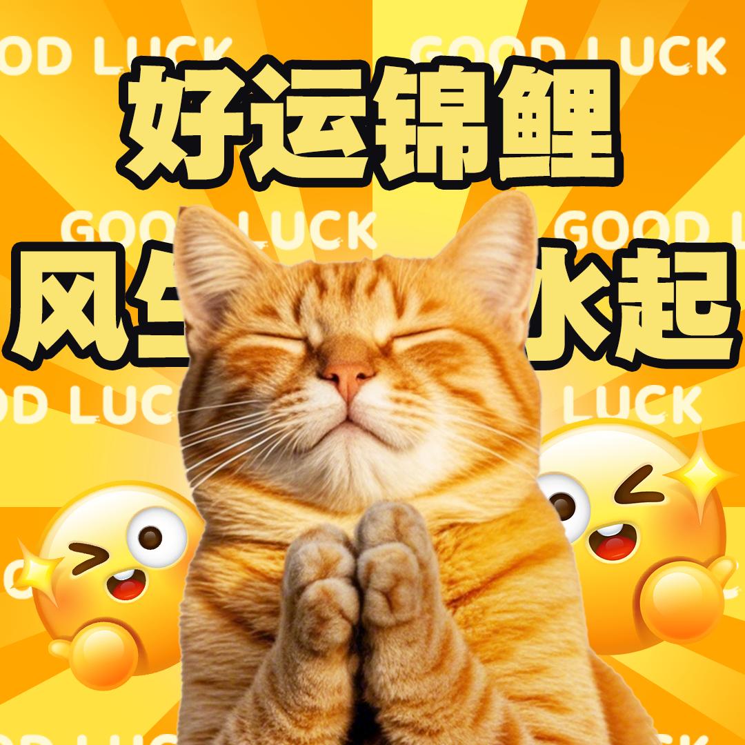 八方来财财到家