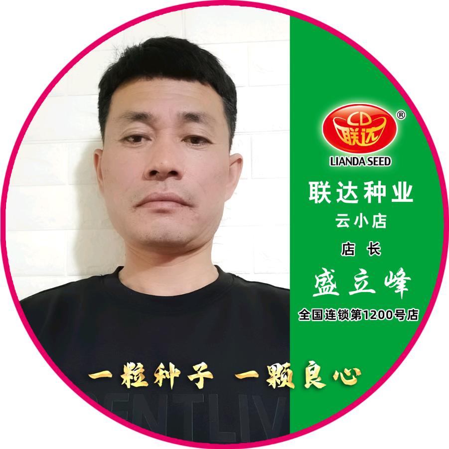 联达阜新云小店-盛立峰