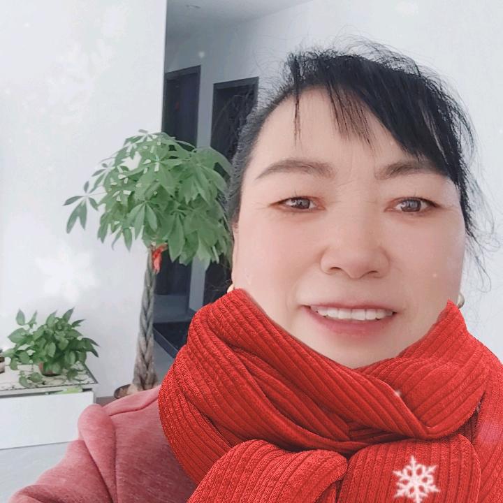 冰刃，狗