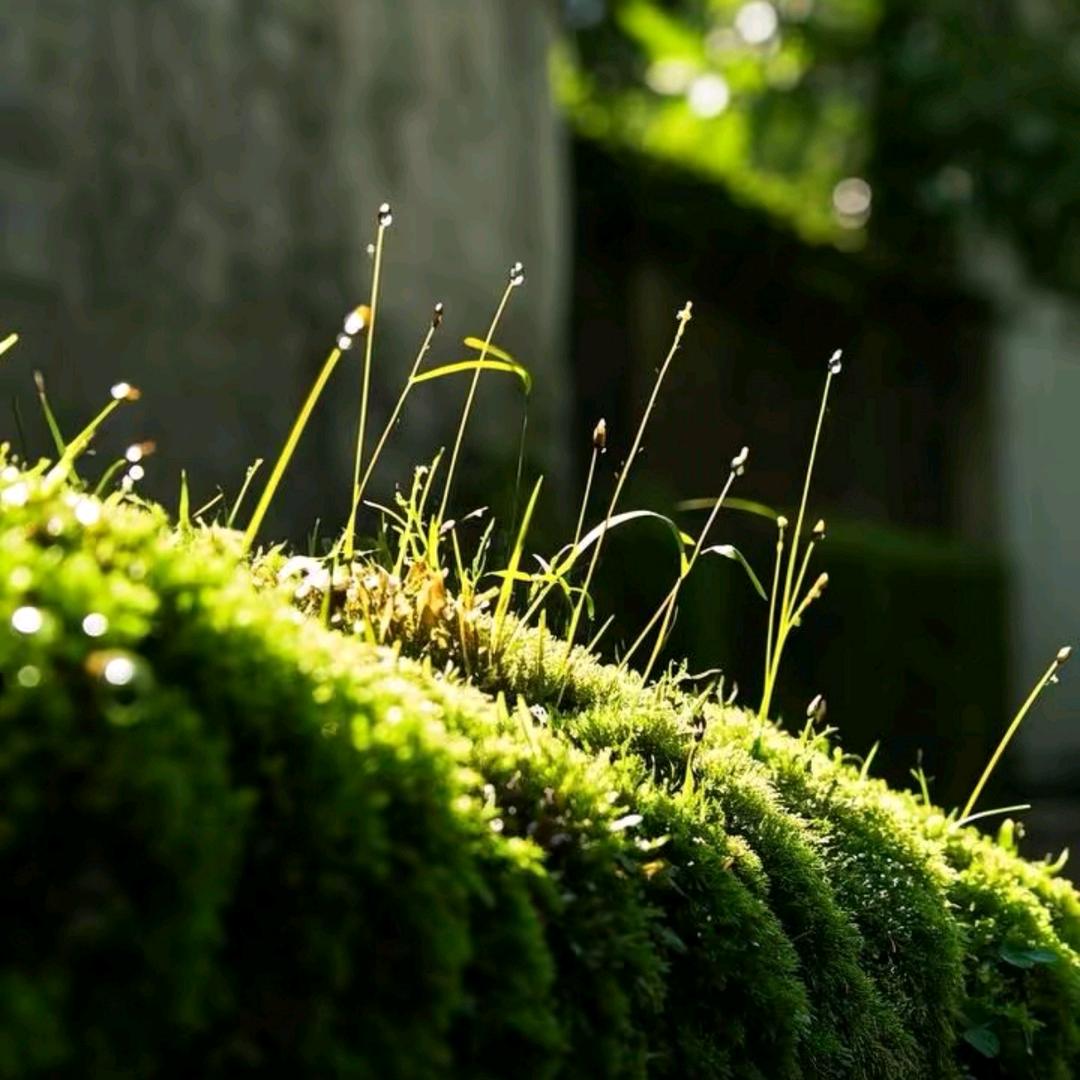 生活有点小抽象