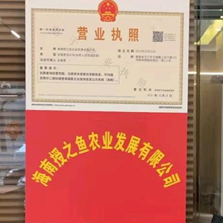 往事(ಡωಡ) 如烟