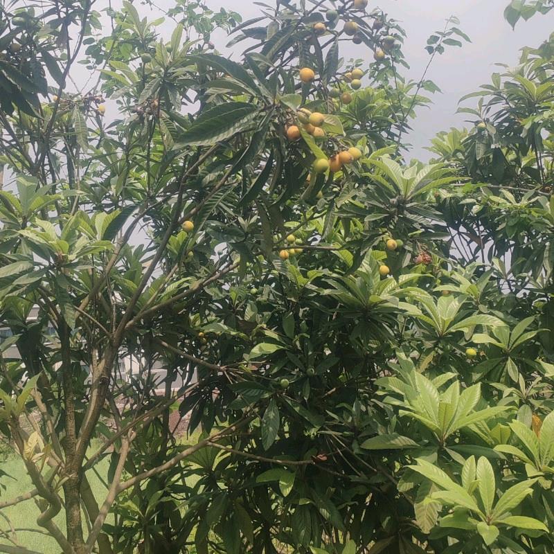 忘掉一切，明天更美好