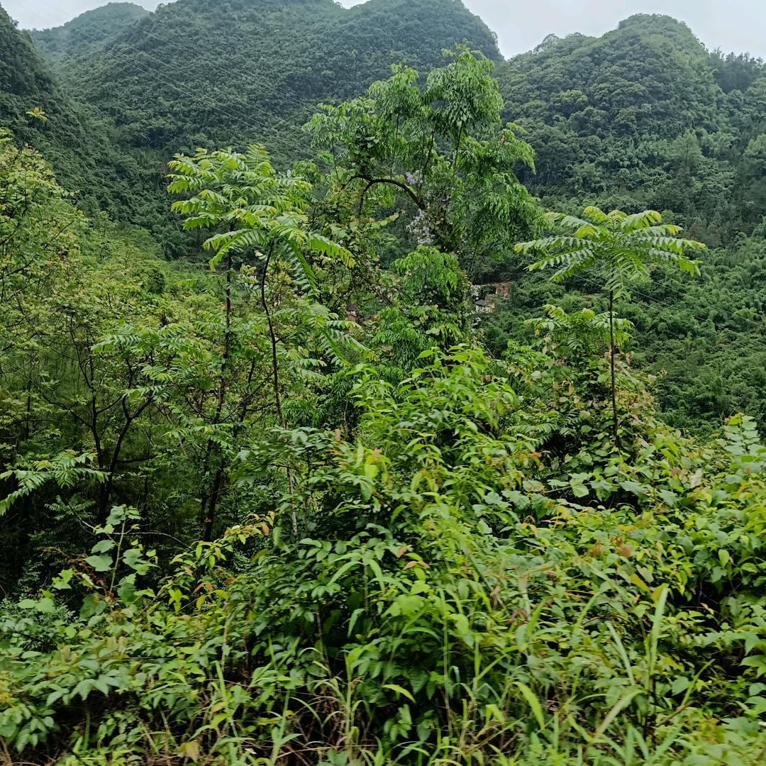忘掉过去，重新开始