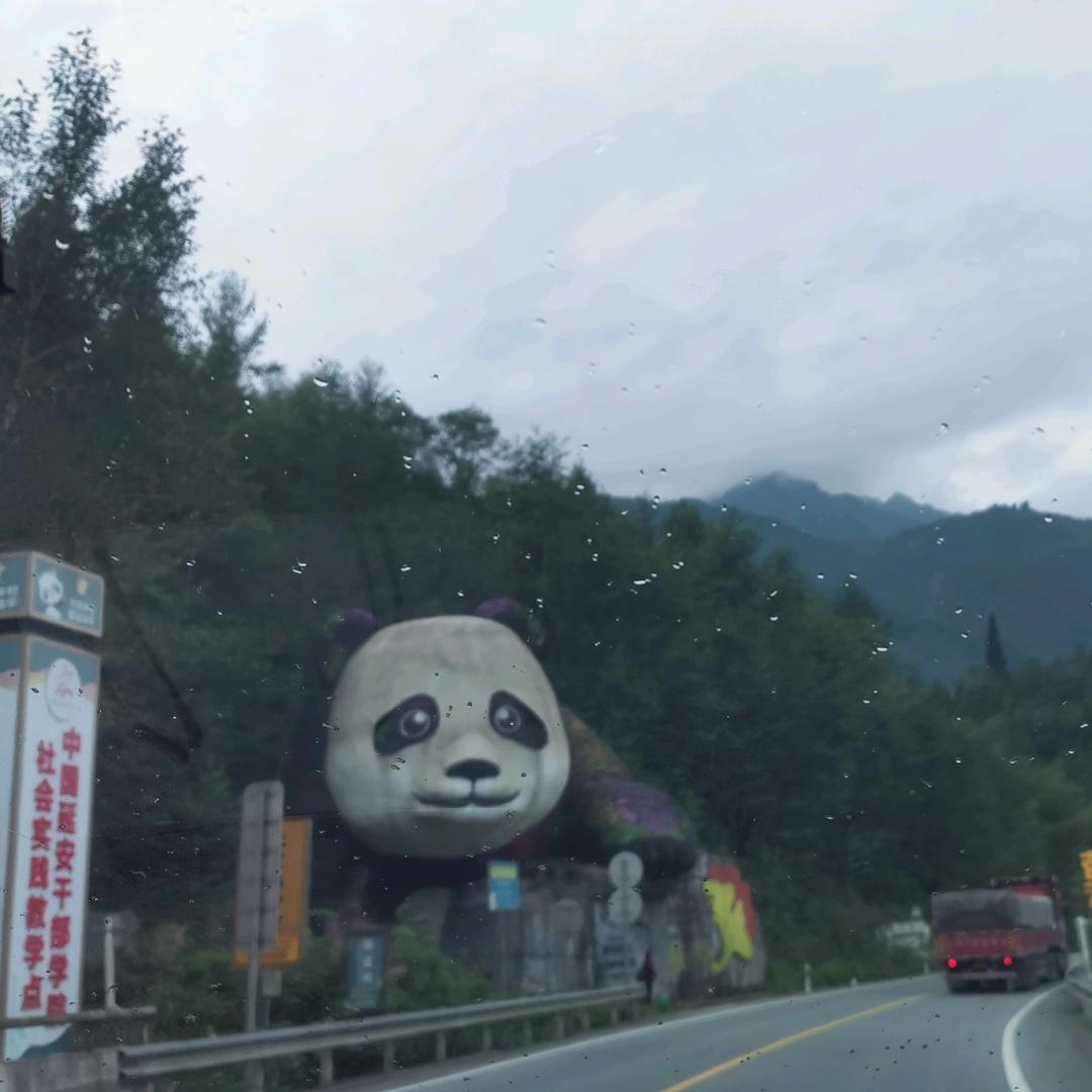 糖宝