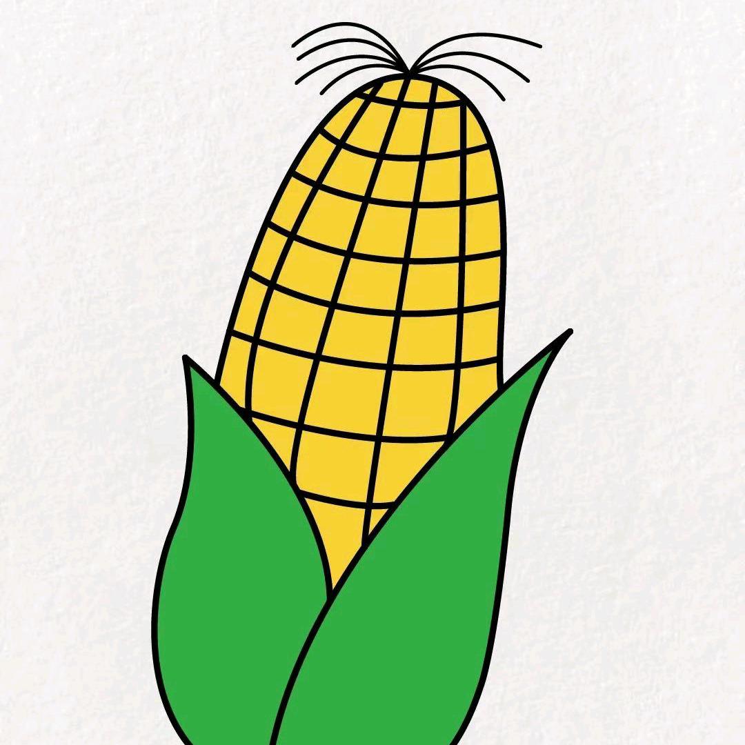 玉米源头供应链ii