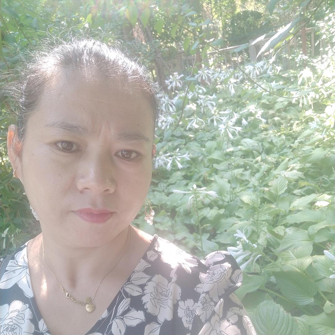 梅花盛开